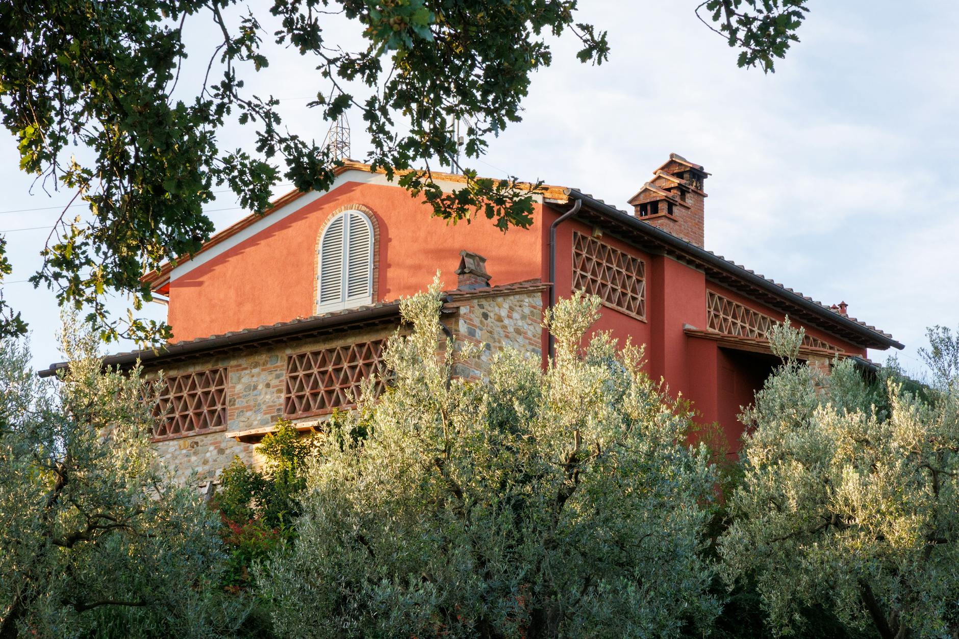 Elegant Tuscan villa surrounded by lush olive groves